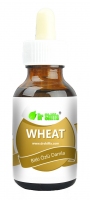 Dr.Shiffa Wheat Damla